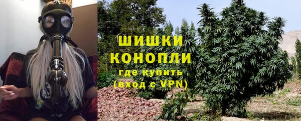МДПВ Вяземский