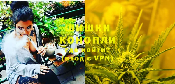 МДПВ Вяземский