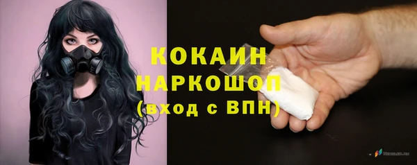 МДПВ Вяземский