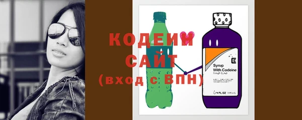 МДПВ Вяземский