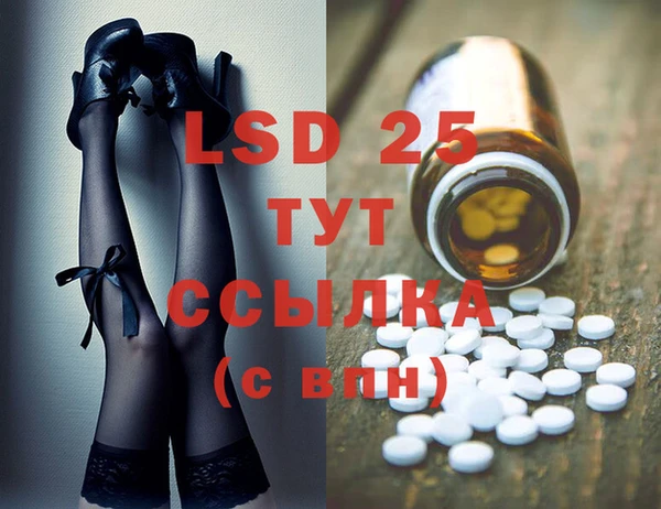 ешки Вязьма