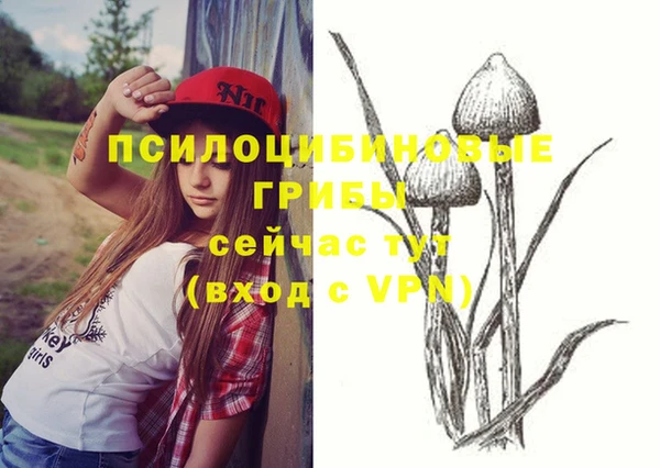 ешки Вязьма