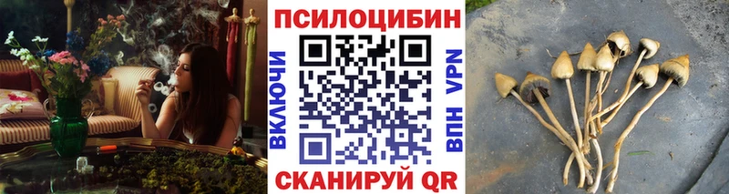 Псилоцибиновые грибы прущие грибы  Купить где  Владивосток 